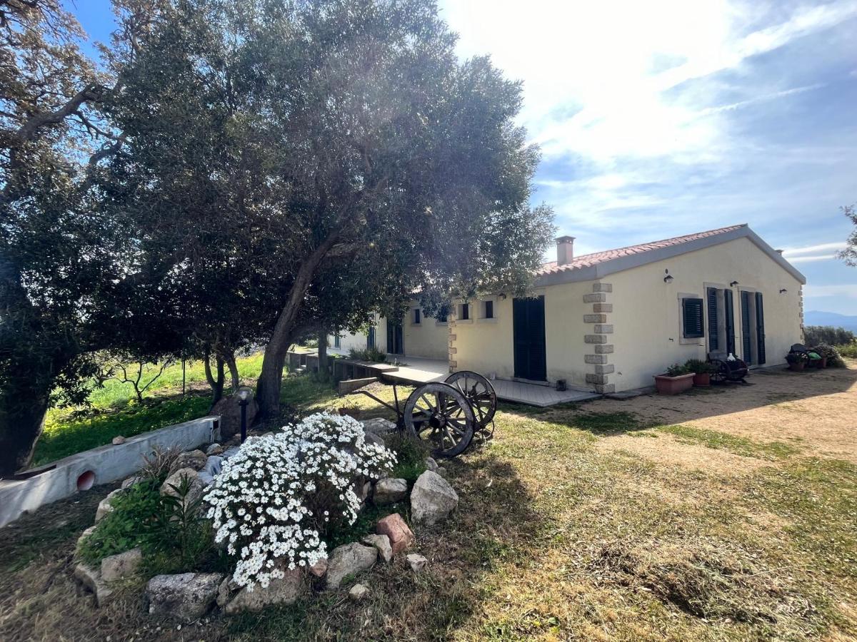 La Striscia Larga Bed & Breakfast San Pasquale Ngoại thất bức ảnh